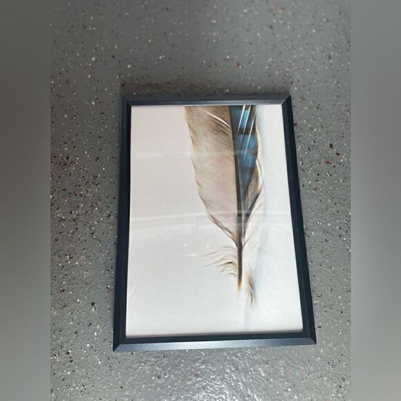 NEW! 5” x 7” Feather Framed ArtWork NWT Non-Glare Display Table or Wall … - Picture 1 of 4